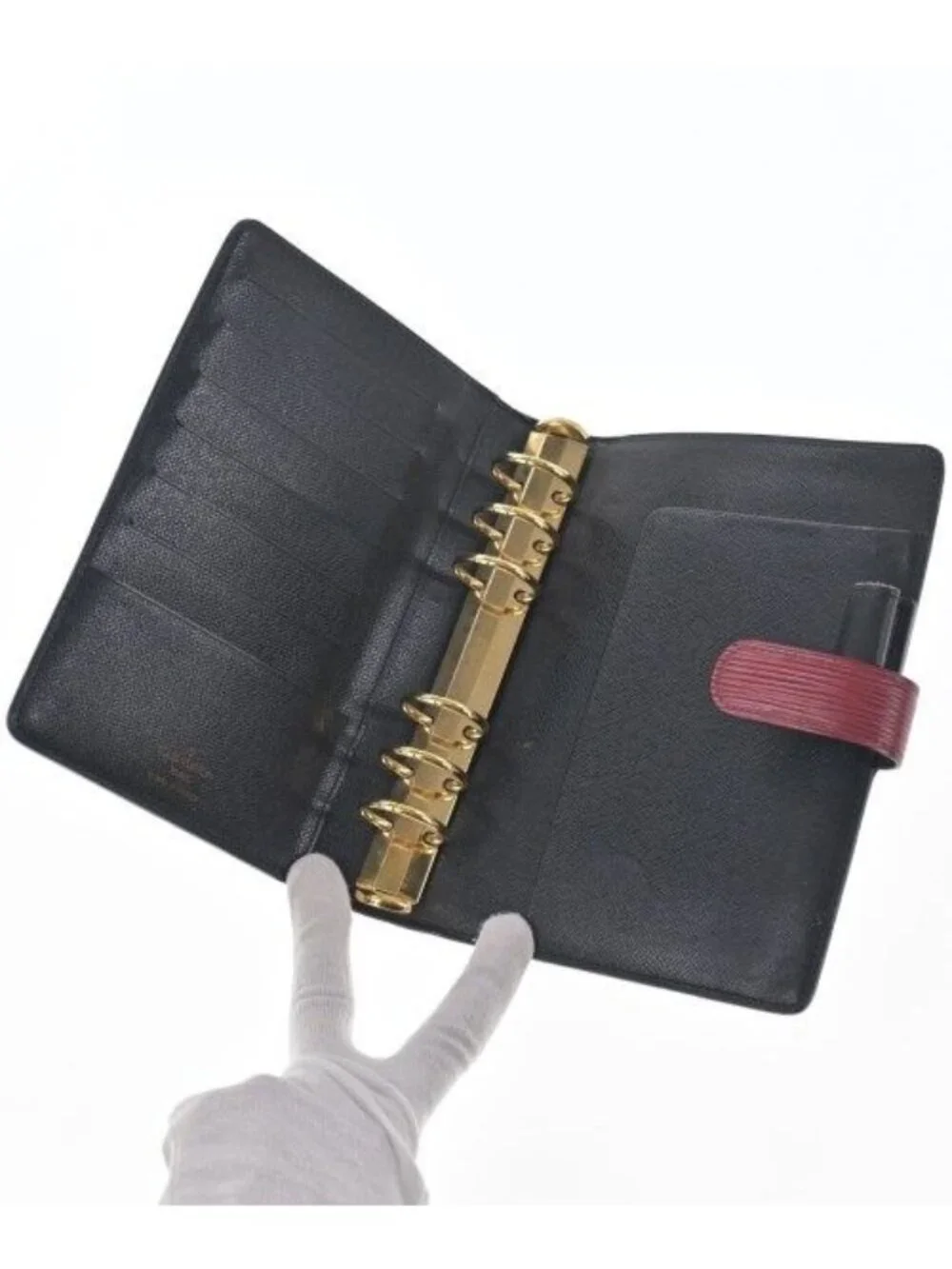 Louis Vuitton brand louis